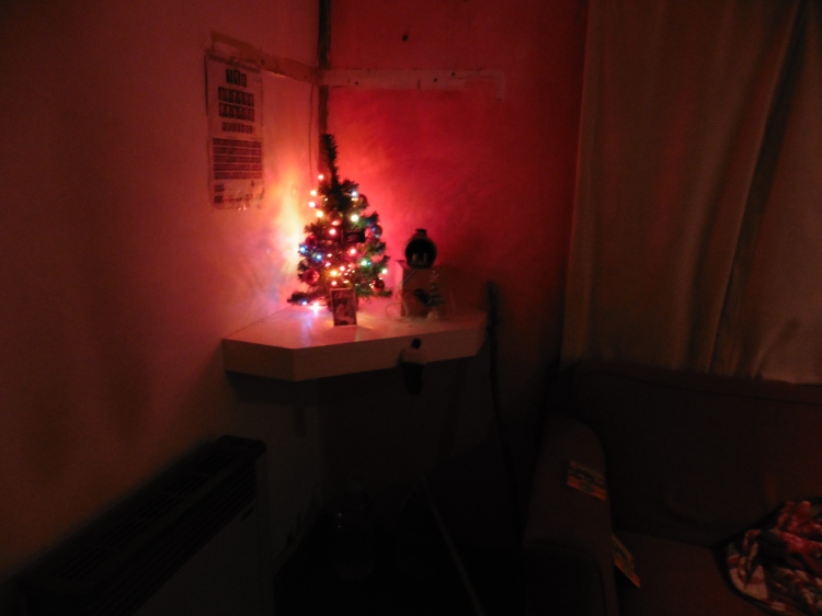 2015-12-10 My little christmas tree